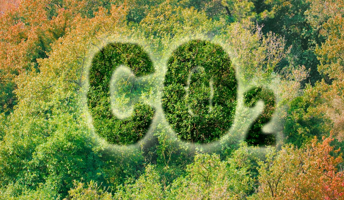 Seminaire international GreenYellow