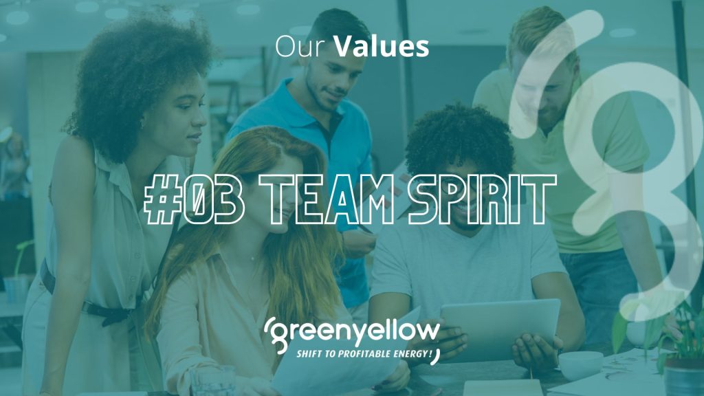 our values team-spirit GreenYellow