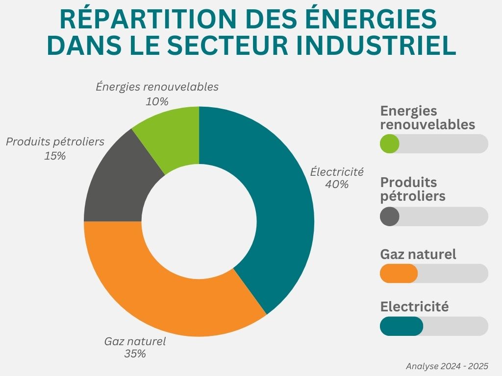 Répartition des énergies dans le secteur industriel