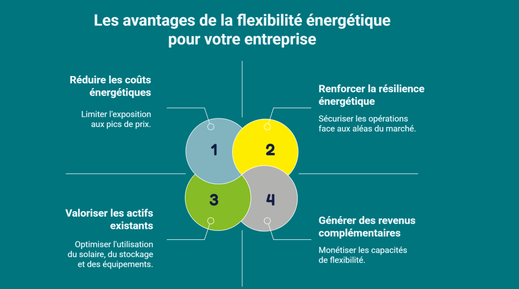 Infographie : avantages de la flexibilité énergétique