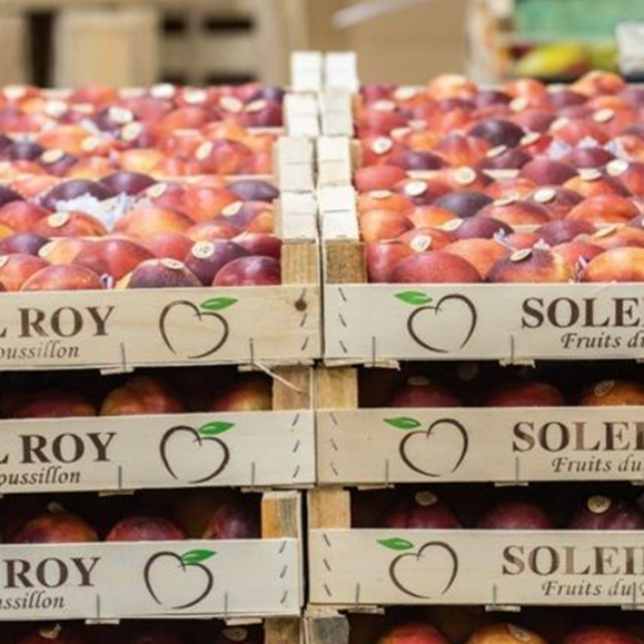 Solutions énergétiques pour Soleil Roy.