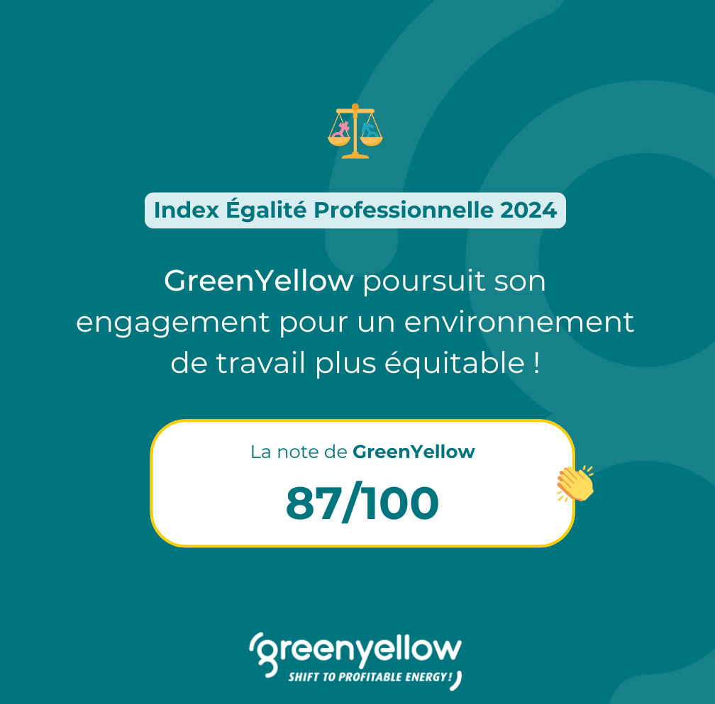 Index_Egalite_Professionnelle