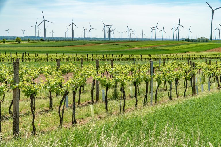 wsparcie w zakresie transformacji energetycznej